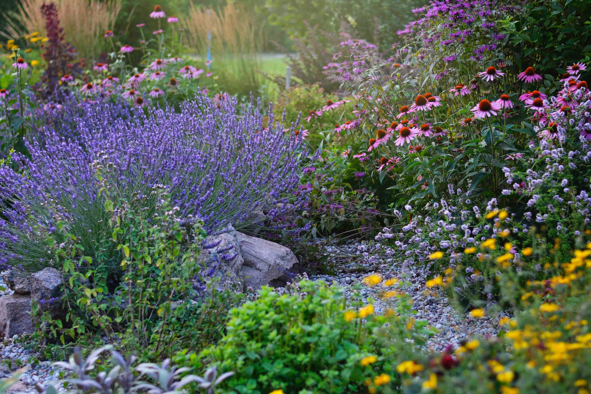 assorted colorful flowers on the garden